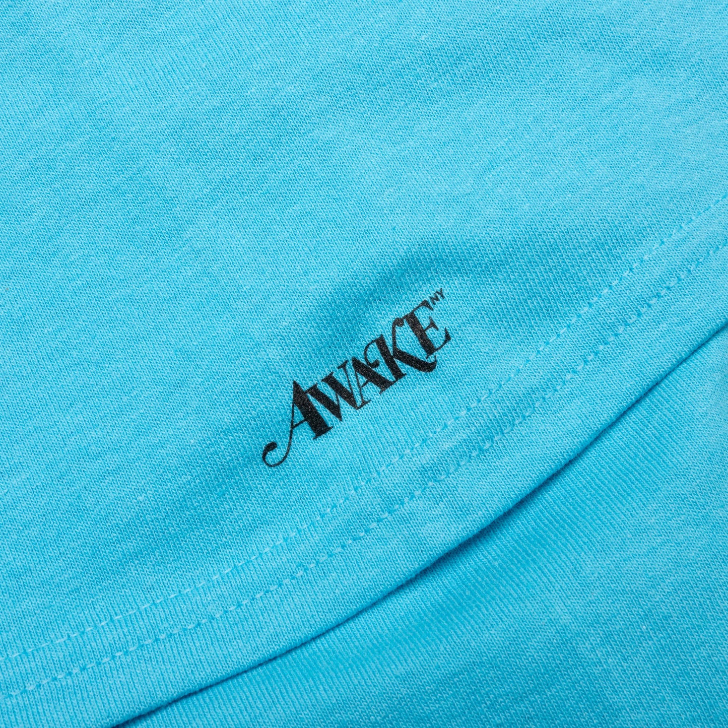 Awake Angela Davis S/S Tee - Aquatic