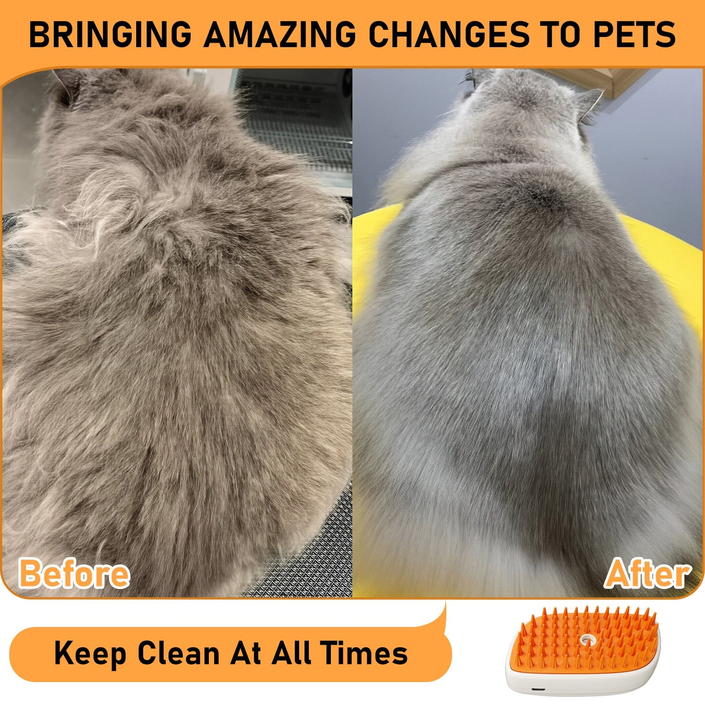 4 In 1 Cat Steam Brush - RAFAE SHOP