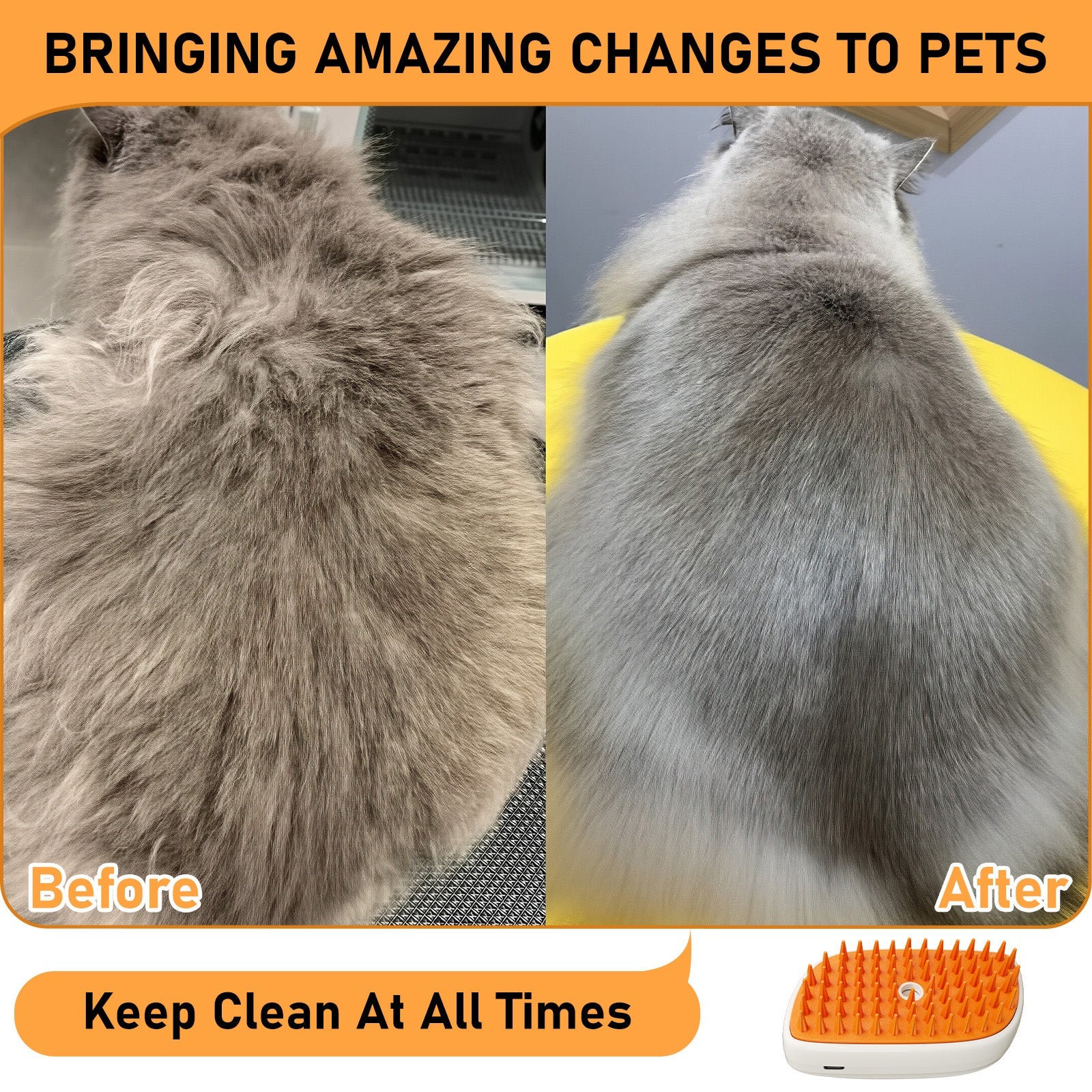 4 In 1 Cat Steam Brush - RAFAE SHOP
