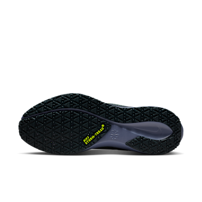 Nike Pegasus 41 GORE-TEX