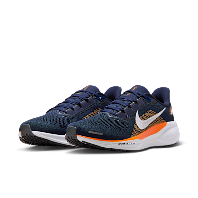 Denver Broncos Pegasus 41