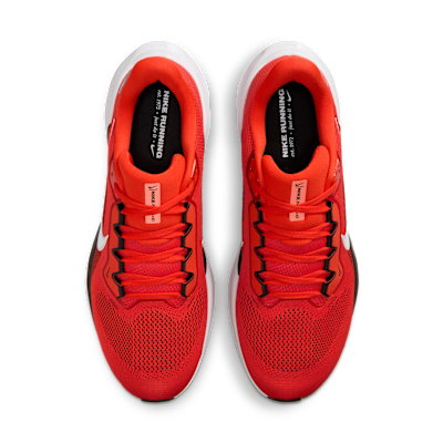 Cleveland Browns Pegasus 41