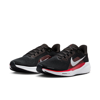 Tampa Bay Buccaneers Pegasus 41