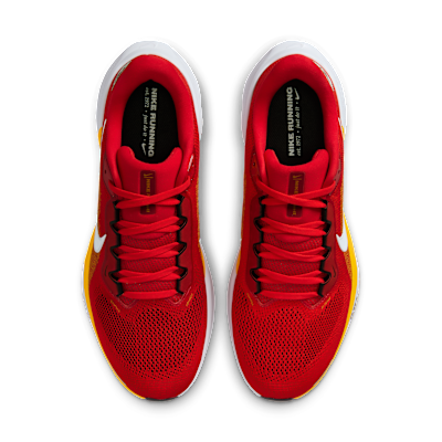 Kansas City Chiefs Pegasus 41