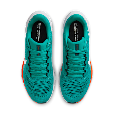 Miami Dolphins Pegasus 41