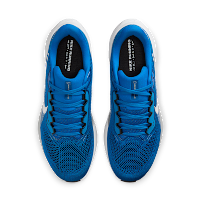 Detroit Lions Pegasus 41