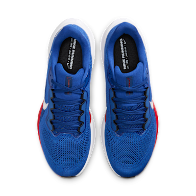 New York Giants Pegasus 41