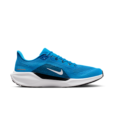 Carolina Panthers Pegasus 41