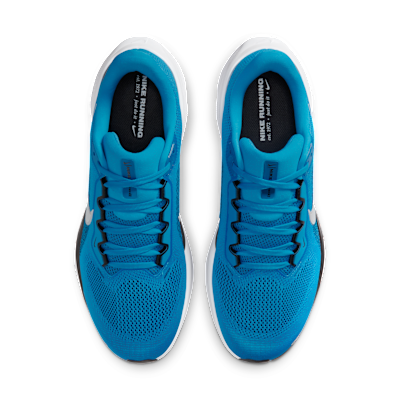 Carolina Panthers Pegasus 41
