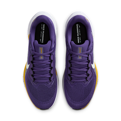 Minnesota Vikings Pegasus 41