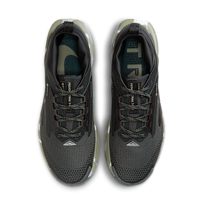 Nike Pegasus Trail 5 GORE-TEX